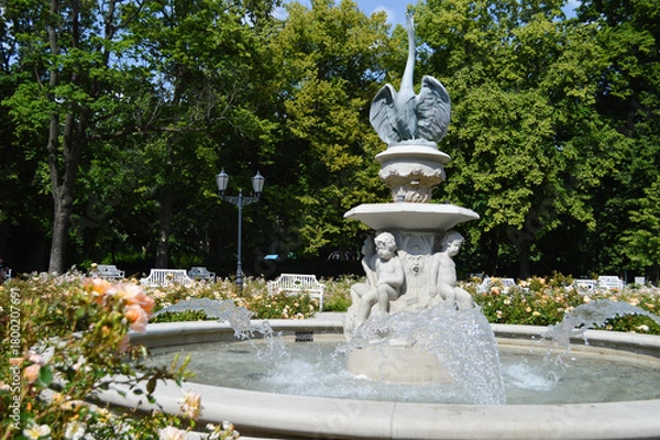 Fototapeta Fountain Among Blooming Roses. A decorative stone fountain with sculpted cherub-like figures pours clear streams of water into a circular basin, surrounded by blooming roses and greenery