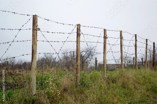 Obraz Barbed Wire Fence