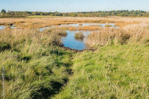 Fototapeta Deep water.