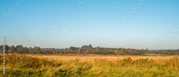 Obraz Moon in daytime.