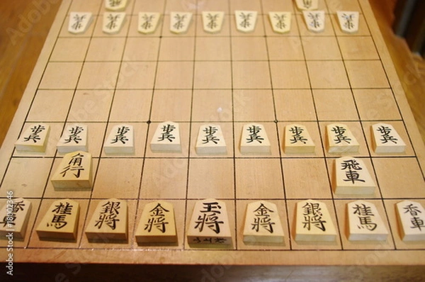 Obraz 大阪冬の陣