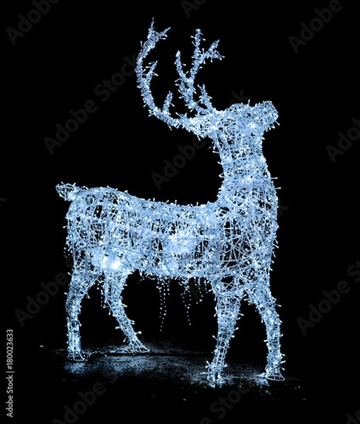 Obraz led deer and black background