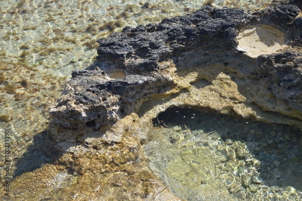 Fototapeta Close-up of rocky tide pool with clear water and seaweed under bright sunlight, tranquil coastal nature, copy space