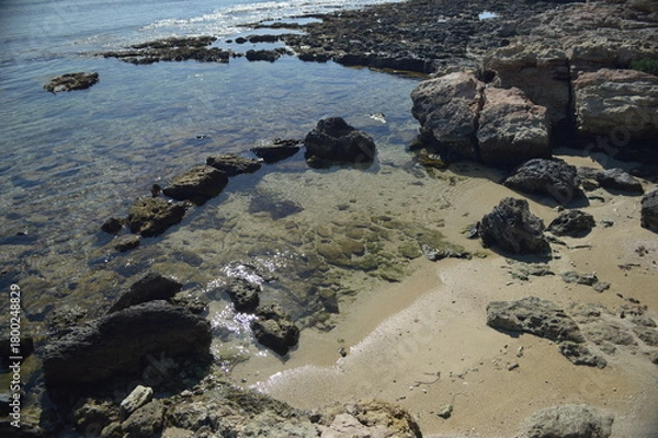 Fototapeta Close-up view of rocky shore with clear tidal pools and sparkling sand under bright sunlight, tranquil coastal landscape, copy space