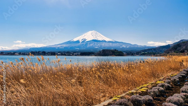 Fototapeta Lake Kawaguchiko, Japan - March 14 2025: Tourists enjoying the view of Lake Kawaguchiko with Mount Fuji in the background. Famous scenery of Mount Fuji in Japan. Blue skies on a cold sunny morning.