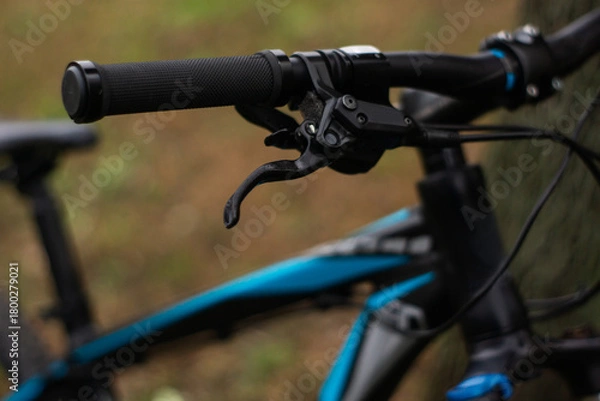 Obraz bicycle on a grass