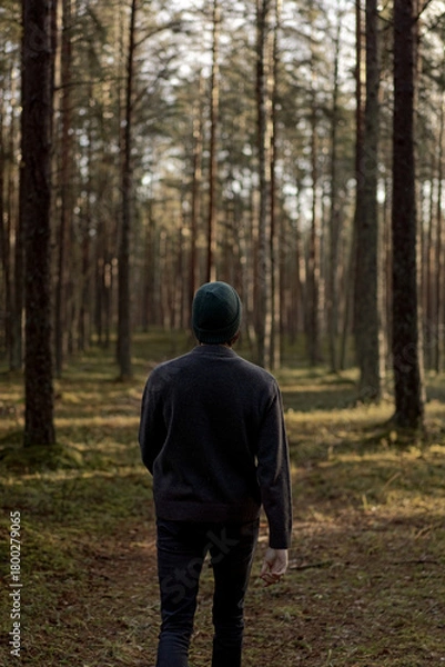 Fototapeta Man Walking Through the Forest on a Sunny Day