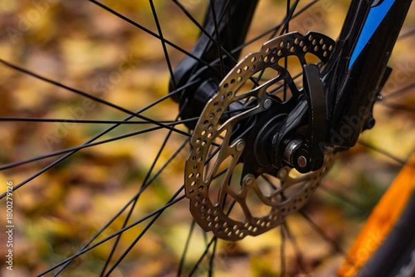 Obraz bicycle brake disc