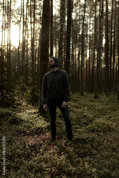 Fototapeta Man walking in a forest at sunset, with sunlight filtering through the trees