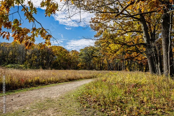 Obraz Princess Point, located on the South-East corner of Cootes Paradise in Hamilton, Ontario, during teh Autumn.