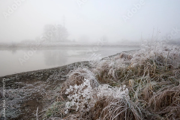 Obraz Frosty hoarfrost in the fog.