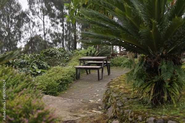 Obraz Tranquil outdoor seating area nestled amidst lush green foliage, offering a peaceful escape in a beautiful garden park setting, perfect for relaxation and quiet moments