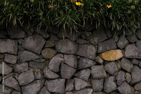 Obraz Rustic stone wall provides a textured backdrop, topped with vibrant green foliage and delicate yellow flowers, showcasing nature's persistent beauty