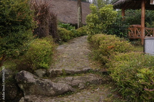 Obraz A serene and picturesque stone pathway winds through vibrant green foliage, leading towards traditional thatched-roof structures, offering a tranquil escape into nature's heart