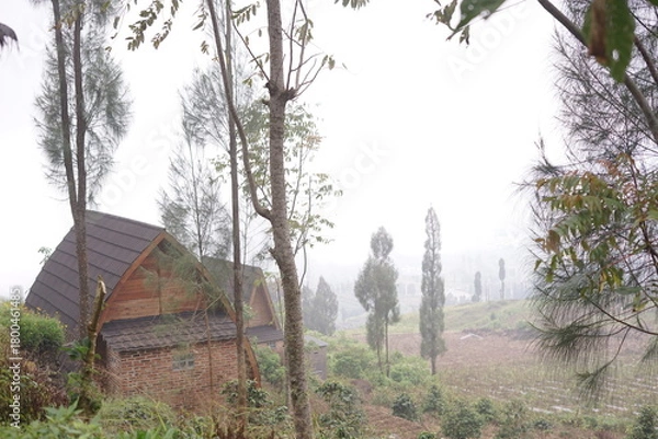 Obraz Unique Curved-Roof Cabin Nestled in a Misty Mountain Landscape, Offering a Serene Escape Amidst Tall Trees and Natural Beauty