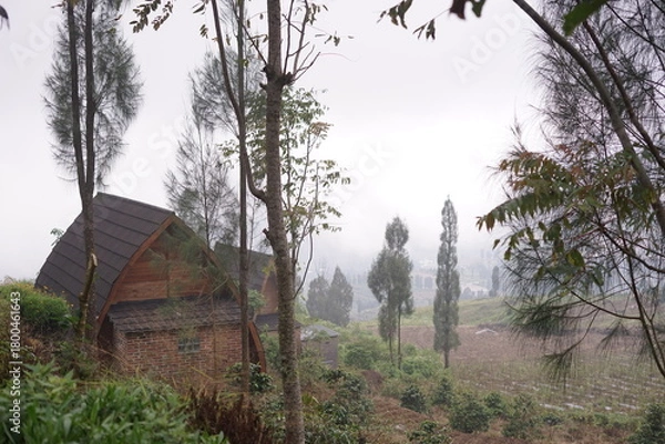 Obraz Modern curved roof dwelling perched on a serene misty hillside, enveloped by tall trees, showcasing harmonious architecture within a tranquil natural landscape