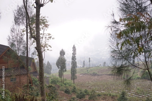 Obraz Rustic hillside community with traditional wooden homes nestled amidst lush fields and towering trees, bathed in a gentle morning mist, evoking serene natural beauty