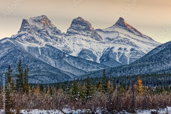 Fototapeta Three sisters with forest below
