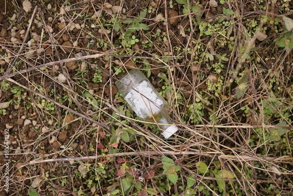 Obraz Discarded glass bottle lying amidst dry foliage and sprouting greenery on the forest floor, symbolizing the pervasive issue of human litter and its detrimental impact on natural environments