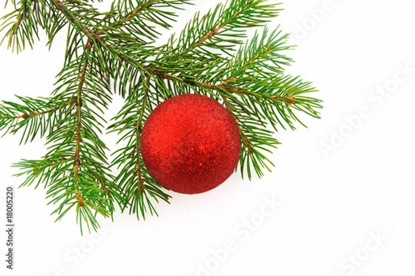 Fototapeta Christmas -tree  with red sphere