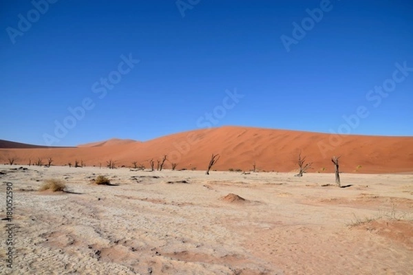 Obraz Namibia Dürre - Wüte - Fernsicht 