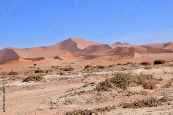 Obraz Wüste - Namibia - Fernsicht 