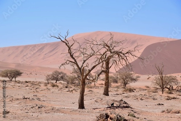 Fototapeta Landschaft Namibia -Wüste