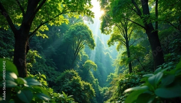 Fototapeta Emerald Green Rainforest Canopy A dense emerald green rainforest canopy, with sunlight filtering through the leaves. No animals or people. Lush green canopy