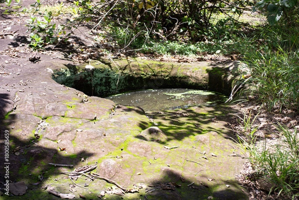Fototapeta Large natural rock pool filled with water, formed on sandstone in a forest. 