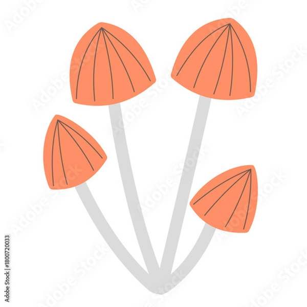 Fototapeta mushrom doodle for illustration