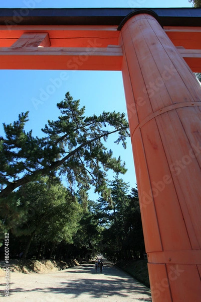 Obraz 奈良公園　春日大社一の鳥居