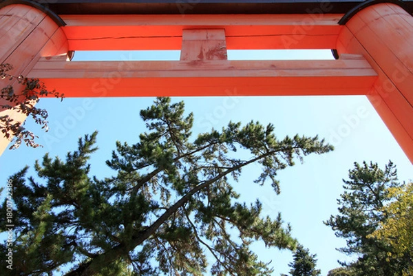 Obraz 奈良公園　春日大社一の鳥居