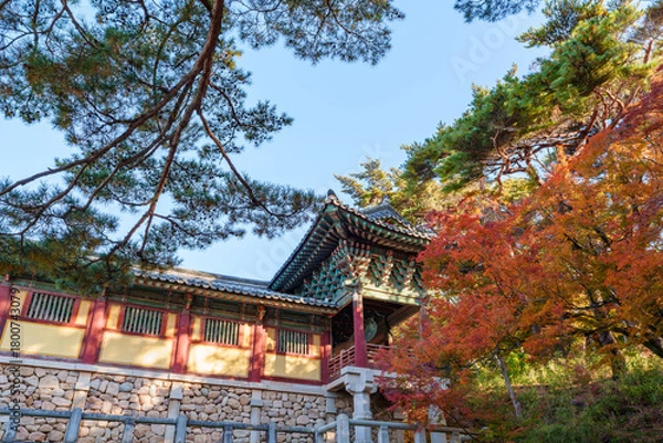 Fototapeta Autumn scenery of Bulguksa Temple in Gyeongju, Korea, with its beautiful red maple trees.