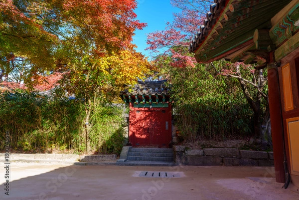 Fototapeta Autumn scenery of Bulguksa Temple in Gyeongju, Korea, with its beautiful red maple trees.