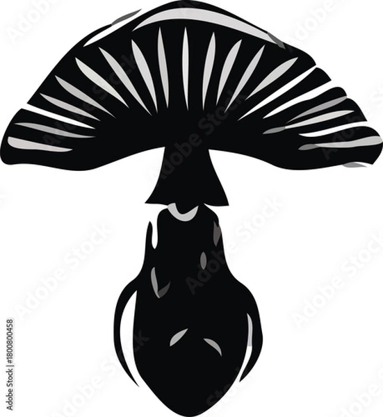 Obraz mushroom vector art