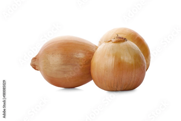 Obraz onions isolated