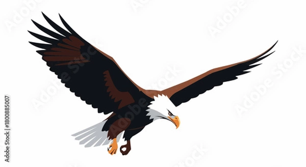 Obraz eagle in flight