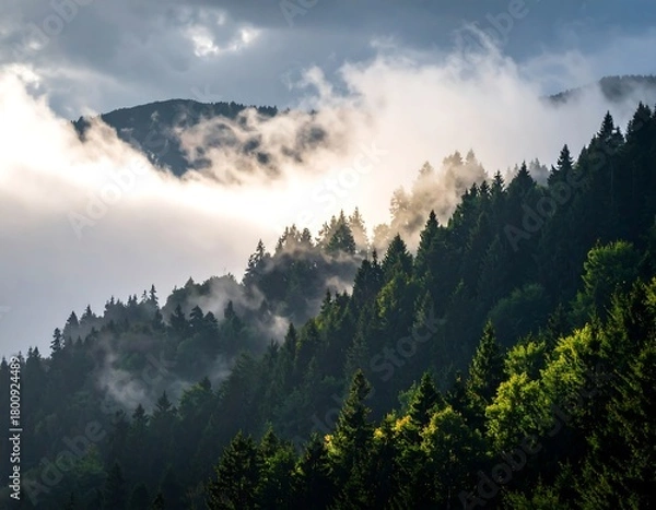 Obraz A scenic mountain landscape, pine trees cascading down slopes with mist and sunlight filtering through cloud cover