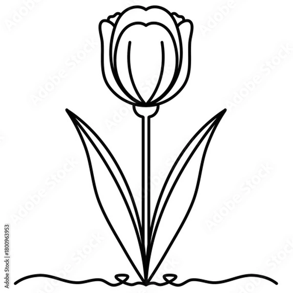 Obraz Elegant single tulip flower line art. Minimalist botanical line art illustration for coloring, logo, tattoo.