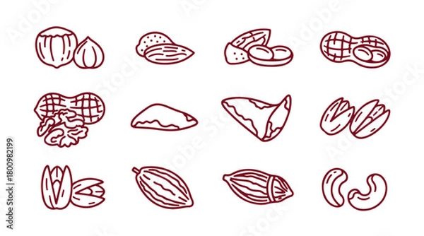 Fototapeta Icons of nuts and seeds. Hazelnut, almond, and peanut. Walnut, Brazil nut, and pistachio icons. Cacao and cashew nuts. Linear collection. Quality line set. Vector.