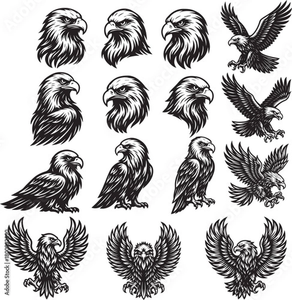 Fototapeta Eagles SVG Bundle