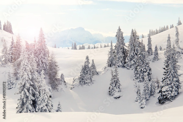 Obraz Traumhafte Winterlandschaft