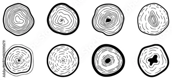 Obraz Set of eight hand-drawn tree ring cross-sections, black and white line art