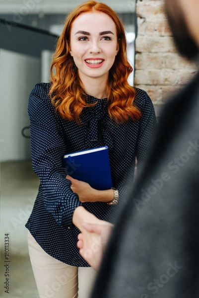 Fototapeta Ginger intern having a job interview