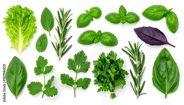 Fototapeta Fresh Herbs Assortment - Basil, Rosemary, Parsley, and Lettuce.