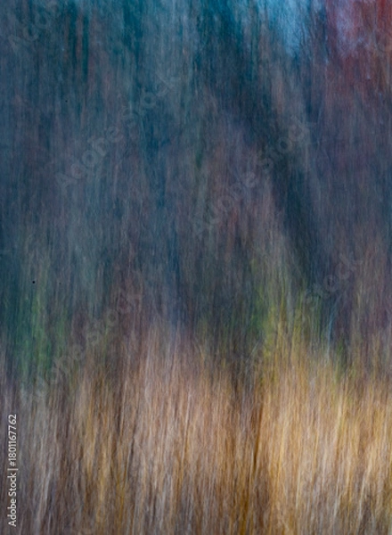 Obraz 741-69 November Forest