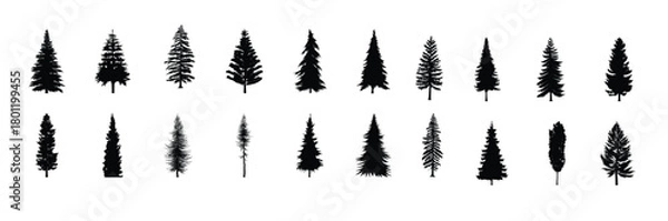 Obraz high detailed pine trees silhouette vector