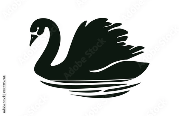 Obraz swan on the water silhouette, duck on the pond vector illustration