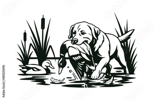 Obraz Labrador Retriever Duck Hunt Vector Art - Black and White Hunting Dog with Mallard