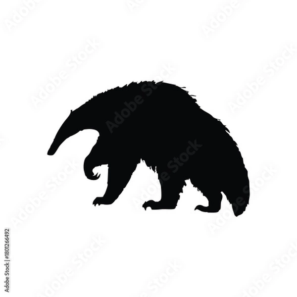 Obraz Solid black anteater silhouette vector illustration